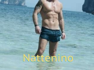Nattenino