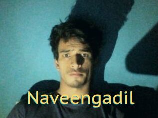 Naveengadil