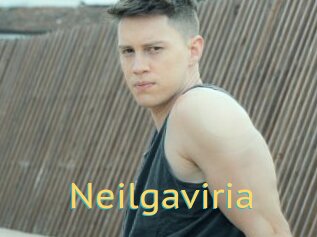 Neilgaviria