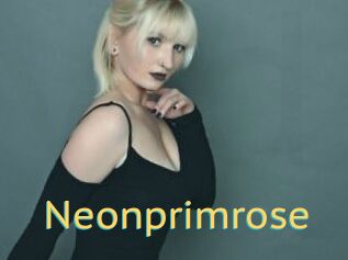 Neonprimrose