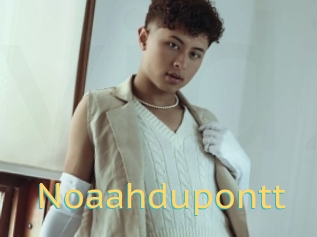 Noaahdupontt