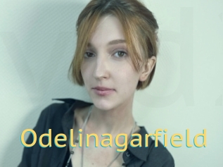 Odelinagarfield
