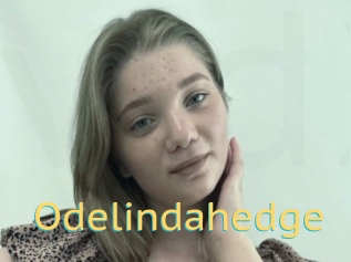 Odelindahedge