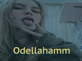 Odellahamm