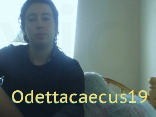 Odettacaecus19