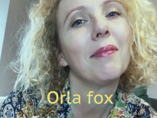 Orla_fox