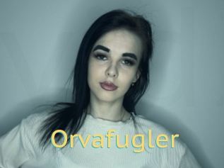 Orvafugler
