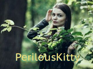 Perilous_Kitty