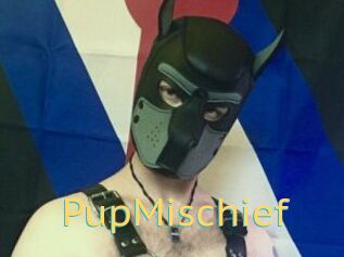 PupMischief