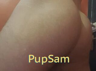 PupSam