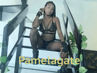 Pamelagate