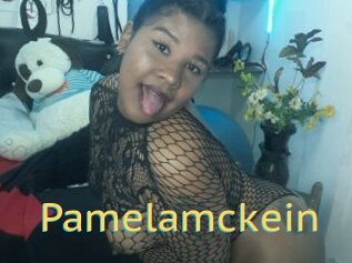 Pamelamckein