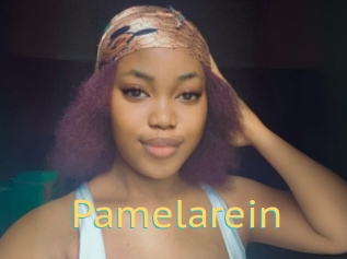Pamelarein