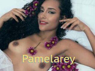 Pamelarey