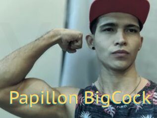 Papillon_BigCock