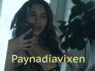 Paynadiavixen