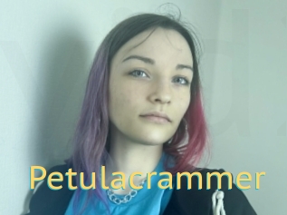 Petulacrammer