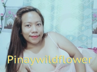 Pinaywildflower