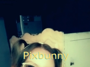 Pixbunny