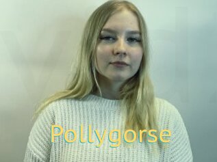 Pollygorse