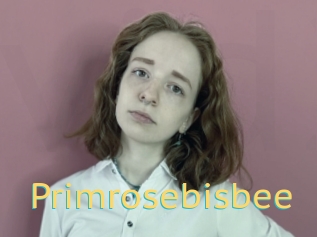 Primrosebisbee