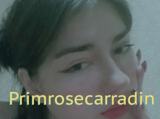 Primrosecarradin