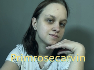 Primrosecarvin