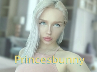 Princesbunny