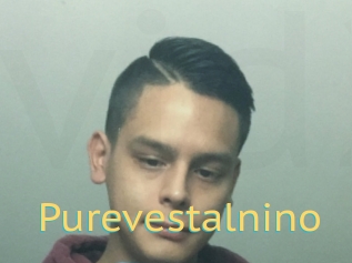 Purevestalnino