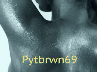 Pytbrwn69