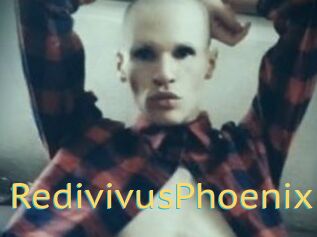 RedivivusPhoenix