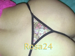 Rosa24