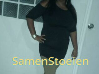 SamenStoeien