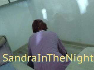 SandraInTheNight