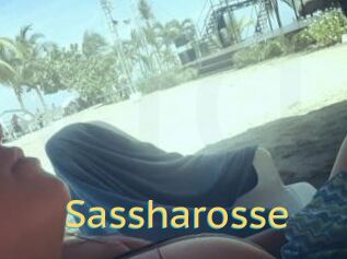 Sassharosse