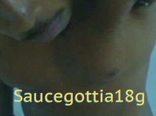 Saucegottia18g