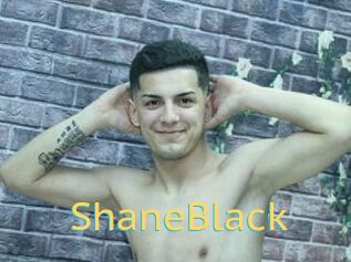 ShaneBlack
