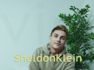 SheldonKlein