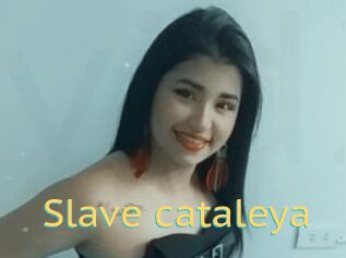 Slave_cataleya