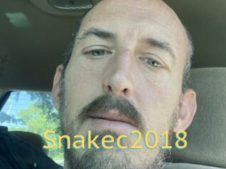 Snakec2018