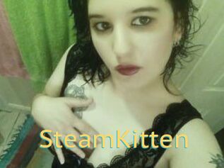 SteamKitten