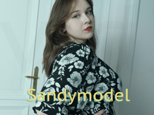 Sandymodel