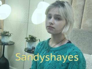 Sandyshayes