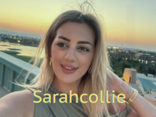 Sarahcollie