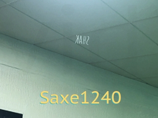 Saxe1240
