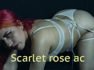 Scarlet_rose_ac