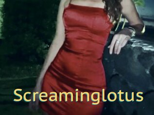 Screaminglotus