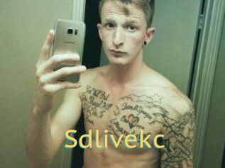 Sdlivekc