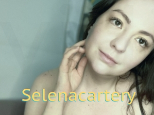 Selenacartery