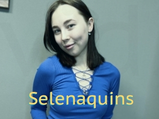 Selenaquins